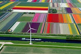 انقلاب کشاورزی هلند- بکوجا
